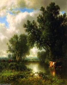 Summer stream