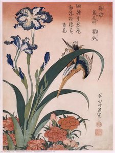 Kingfisher, Carnation, Iris — Katsushika Hokusai, Ukiyo-e