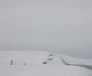 St Bathans Downs Road - — Grahame Sydney