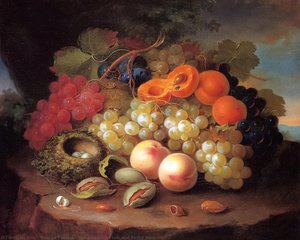 Stillleben mit Früchten und Vogelnester