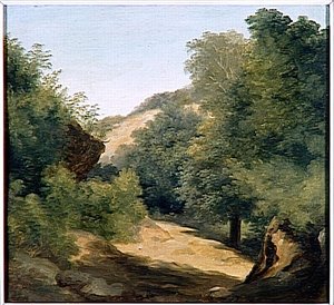 ENVIRONS DE NEMI LE CHEMIN AU SOLEIL