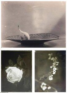 Pear On A Crooked Plate (i), Rose (ii) And Blossom (iii) — Josef Sudek