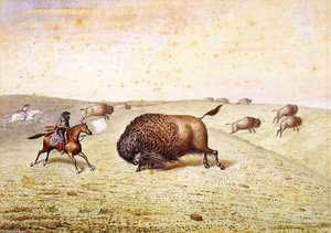 William Hind Meeting A Buffalo — William George Richardson Hind