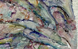 Herring Transforms Into A Human Face With Glowing Eyes (details) — Vu Djan'an