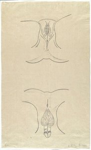Urogenitals — Kiki Smith