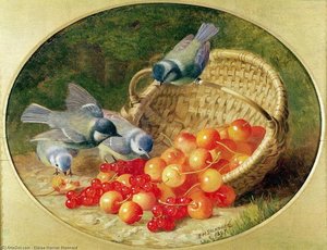 Bluetits Pecking At Cherries — Eloise Harriet Stannard