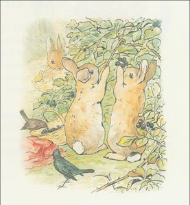 Peter Rabbit 7a - (11x11) — Beatrix Potter