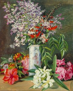Selection Of Cultivated Flowers, Painted In Jamaica — Marianne North, Victorian Botanical Painting