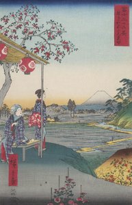 Teehaus Mit Blick Auf Den Berg Fuji In Zōshigaya (zōshigaya Fujimi Chaya) — Utagawa Hiroshige, Japanische Landschaftsmalerei