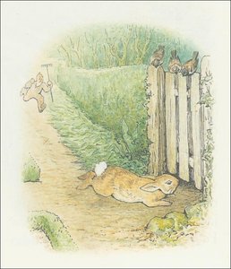 Peter Rabbit 27a - (11x12) — Beatrix Potter