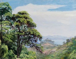Desde El Camino Del Acueducto, Río, Brasil — Marianne North, Marianne North Botanical Painting