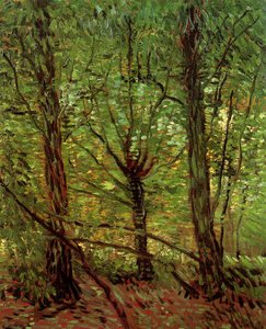 Bäume Und Unterholz — Vincent Willem Van Gogh, Post-impressionismus