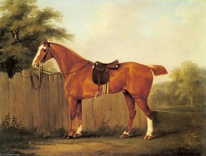 A Chestnut Hunter Tethered To A Fence — John Nost Sartorius