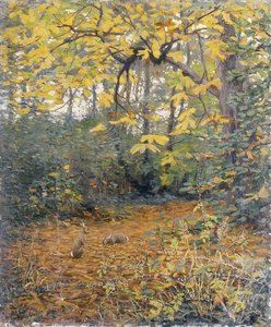 Chestnut Wood