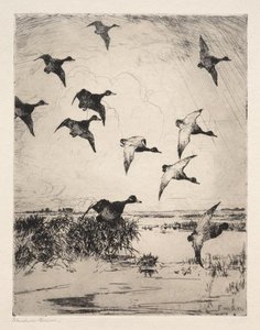 Flying Ducks — Frank Weston Benson