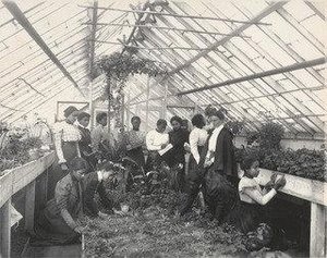 Arithmetic Measuring For Estimates — Frances Benjamin Johnston