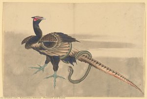 Pheasant And Snake — Katsushika Hokusai