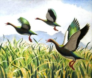 Spur Winged Geese — Keith Henderson