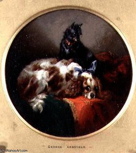 Blenheim Spaniel and Terrier