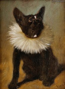 French Bulldog — Arthur Heyer
