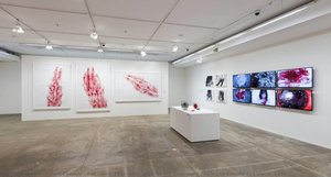 Red Lines, 2018/ Cell, 2019/ In The Bathroom, 2020/ And Ground And Blood, 2013 — Shiota Chiharu