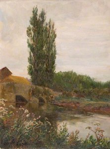 Tree By A Bridge Over The Lugg — Brian Hatton