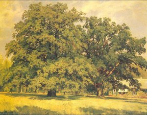 Mordvinov's Oaks — Ivan Ivanovich Shishkin, Realism