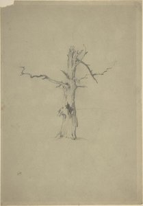 Study Of A Dead Tree — Myles Birket Foster