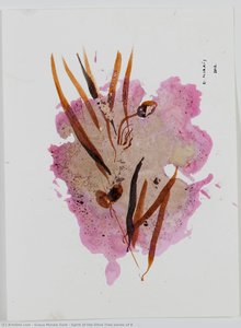Spirit Of The Olive Tree Series Of 8 — Graça Morais Goih