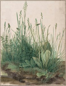 The Large Piece Of Turf, 1503 — Albrecht Dürer, Northern Renaissance