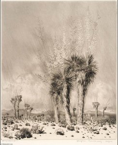 Springtime, Paradise Valley, Arizona — George Elbert Burr