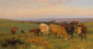 Herd of Cows in a Blossoming Meadow on the Cliffs