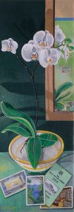 White Orchid Reflections