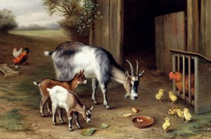 Goats And Poultry — Edgar Hunt