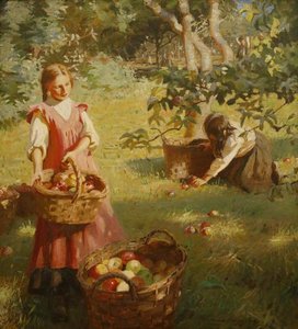 Apples — Harold Harvey