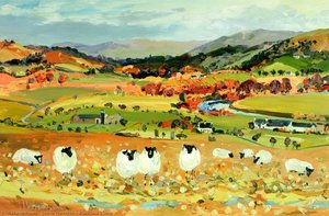 Blackface Sheep — James Harrigan