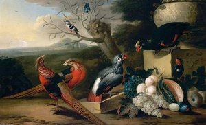 Parkland Setting with Birds