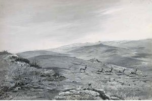 In Dangerous Territory — George Edward Lodge