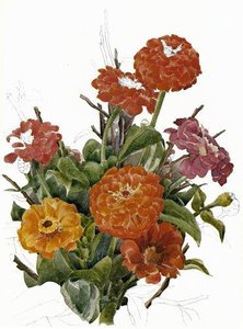 Zinnias — Charles Demuth