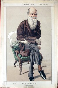 Caricature Of Charles Darwin From Vanity Fair Magazine — Jacques Joseph Tissot