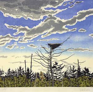 Osprey’s Nest — Neil Gavin Welliver