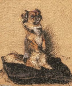 A Pekingese Seated On A Cushion