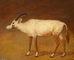 White Antelope — Jacques Laurent Agasse