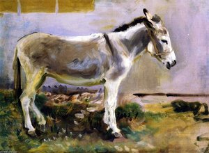A Donkey — John Singer Sargent