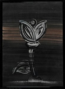 Çiçek / Flower
