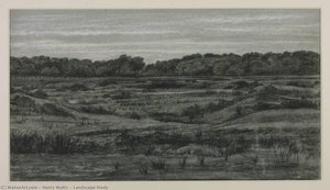 Landscape Study