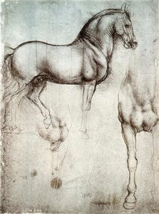 Study Of Horses — Leonardo Da Vinci, Renaissance Art