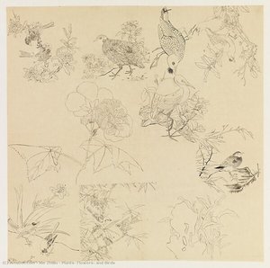 Plants, Flowers, And Birds — Xie Zhiliu