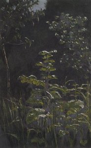 Forest. Burdock — Arkhip Ivanovich Kuindzhi