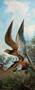 Eagle With Pheasant — Alfred Worthington